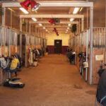 How To Build Your Horse Barn with Stable Floors Without Flaws?
